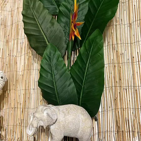 Apartament Rhodesia Chalkís